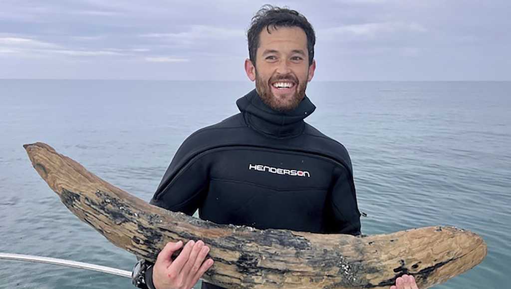 Fossil-hunting diver says he has found a large section of mastodon tusk off Florida’s coast [Video]