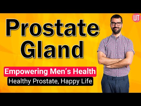 Prostate Gland | Prostate Gland Function | Male Reproductive System | Prostate Cancer | Biology [Video]
