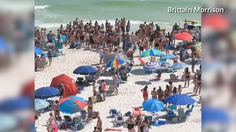 Shark attack victims recovering from life-altering injuries in Florida panhandle [Video]