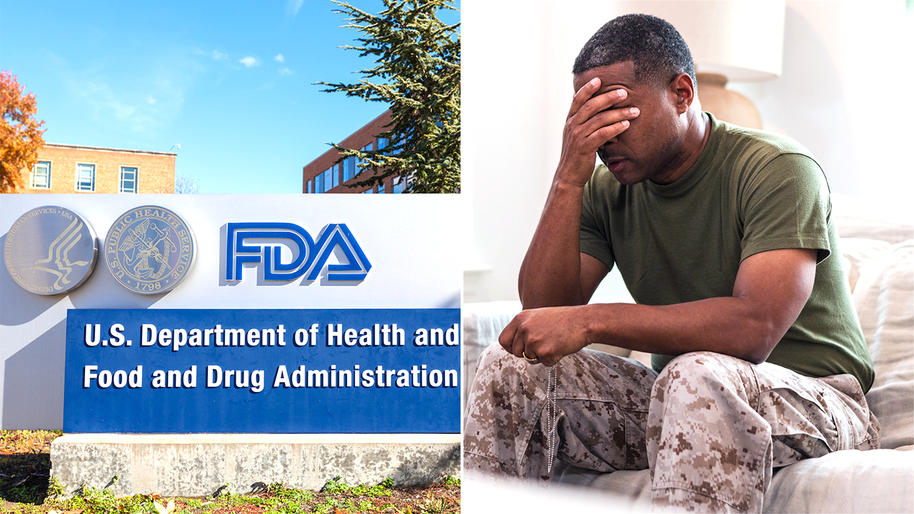 FDA panel rejects MDMA-assisted therapies for PTSD in veterans [Video]