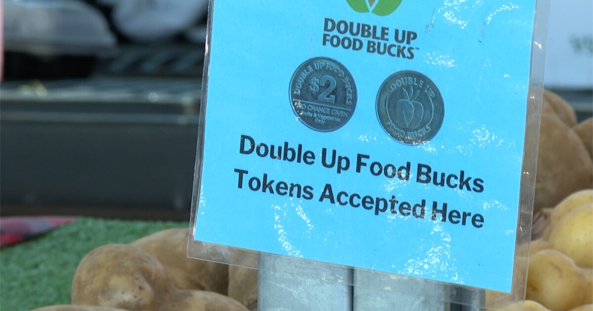 Michigan’s Double Up Food Bucks program could help your family get fresh food [Video]