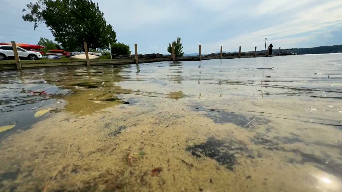 Cyanobacteria found in several areas of Lake Winnipesaukee [Video]