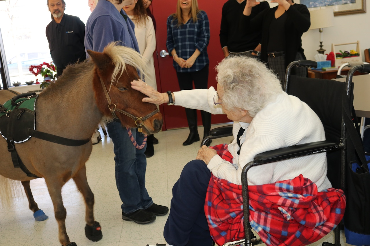 Miniature horses to again bring mental wellness to ArchCare Senior Life [Video]