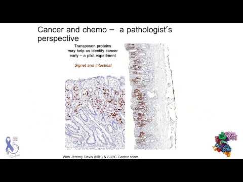 Dr. Marty Taylor – The Science of Cancer Research: Hope and Future Directions [Video]