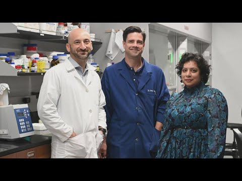 UNF researchers awarded patent for targeted cancer-fighting compound [Video]