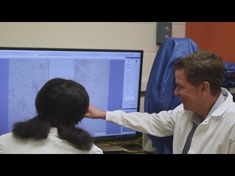Researchers at the U of I recognize National Cancer Survivors Month [Video]