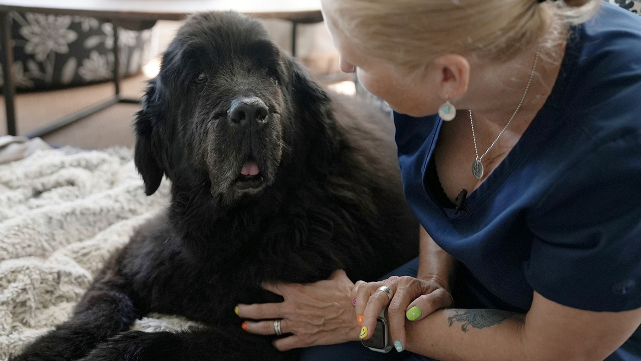 How to cope as your pet nears the end of its life [Video]