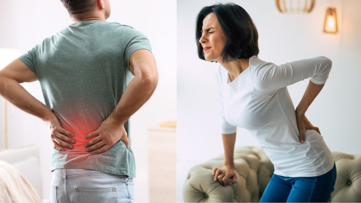 Expert Lists Factors For Back Pain In Men And Ways To Manage Them Easily [Video]