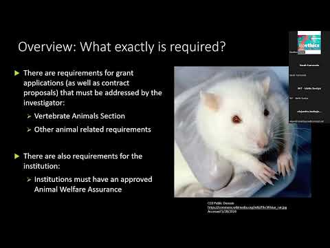 Animal research and the role of committees for the care and use of animals [Video]