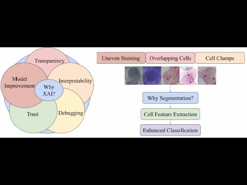ICARC2024 – Interpretable Cervical Cell Classification A Comparative Analysis [Video]