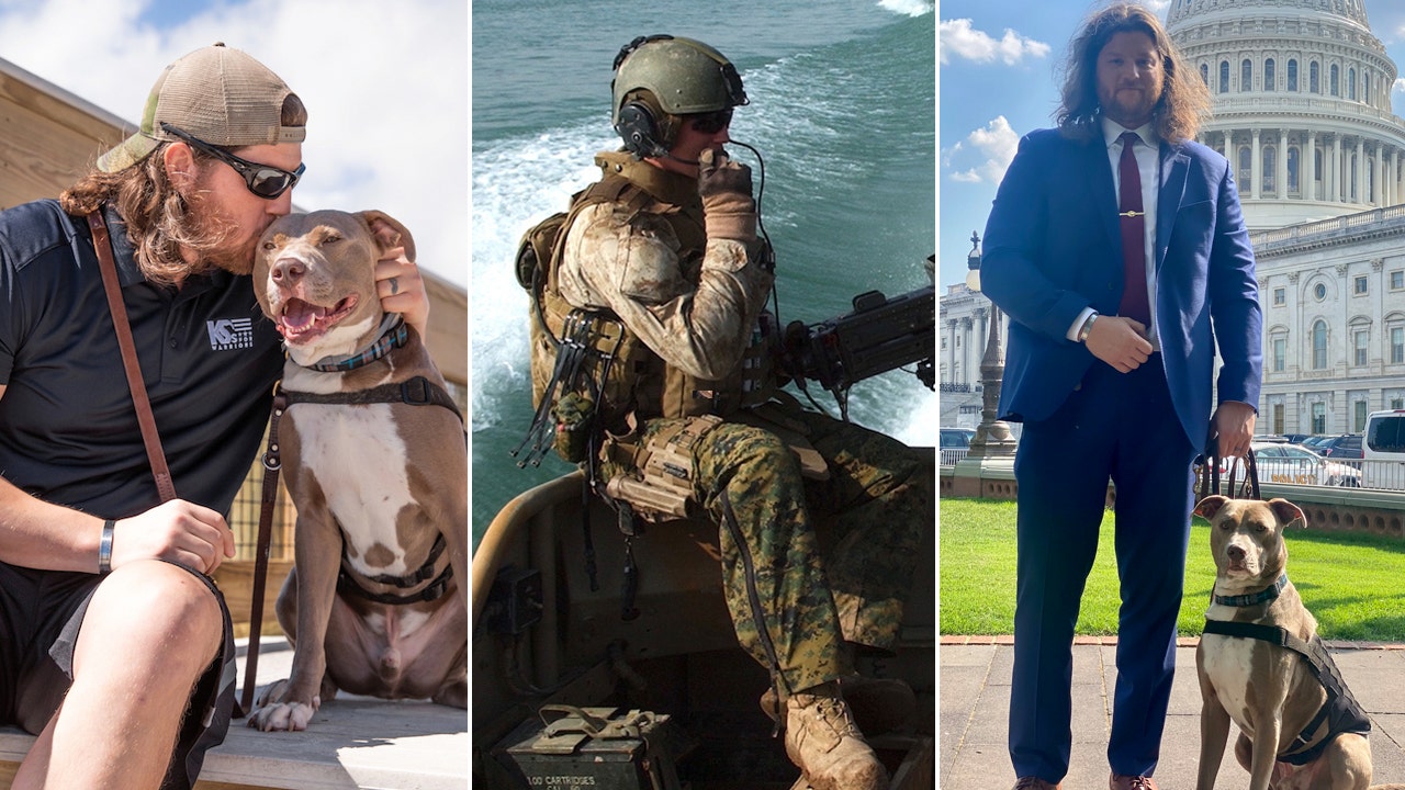 Service dogs offer ‘significant’ benefits for veterans with PTSD, study finds [Video]