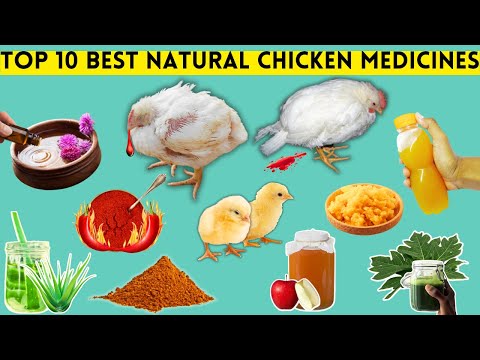 TOP 10 BEST NATURAL CHICKEN MEDICINES | HERBAL TREATMENTS FOR THE MOST COMMON CHICKEN DISEASES [Video]