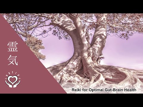 Reiki for Optimal Gut Brain Health | Energy Healing for the Gut-Brain Axis [Video]