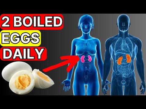 I ate 2 Boiled Eggs a Day, Here’s What Happened to My Body [Video]