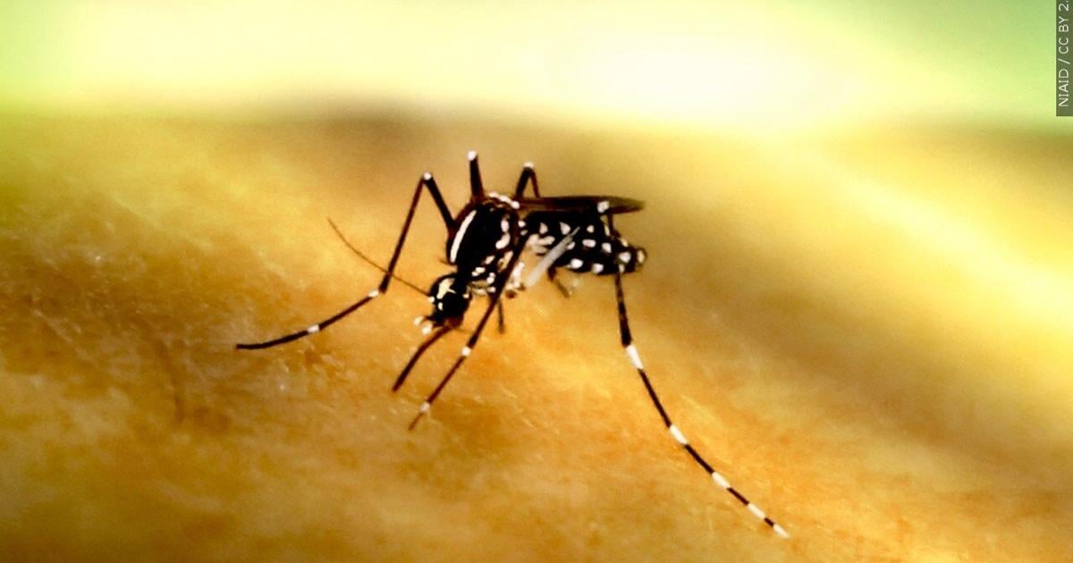 Mississippi confirms first human case of West Nile Virus in 2024 | Mississippi [Video]