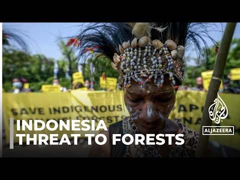 All eyes on Papua campaign: Indonesian environmentalists warn of threat to forest [Video]
