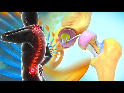 Alpha Waves Healing + 432Hz + 528Hz Sound Therapy….🦴️….The Body Regenerates After 4 Minutes [Video]