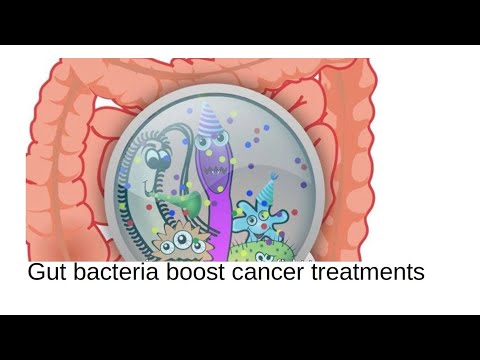 What types of Gut Bacteria Can Boost Cancer Immunotherapy | cancer treatment | microbiota microbiome [Video]