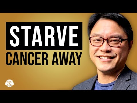 How Fasting Can Prevent Cancer Intermittent Fasting Deeply EXPLAINED   Feat. Dr Jason Fung [Video]