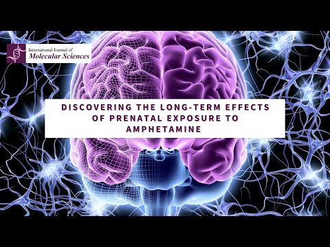 Long-term effects of prenatal exposure to amphetamine [Video]