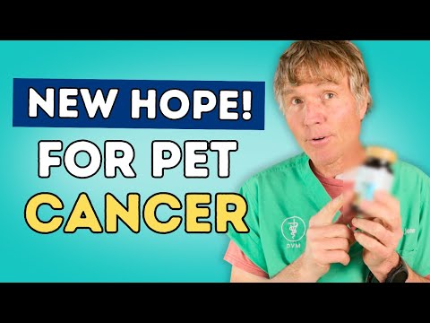 Help Your Dog’s and Cat’s Cancer with Medicinal Mushrooms [Video]