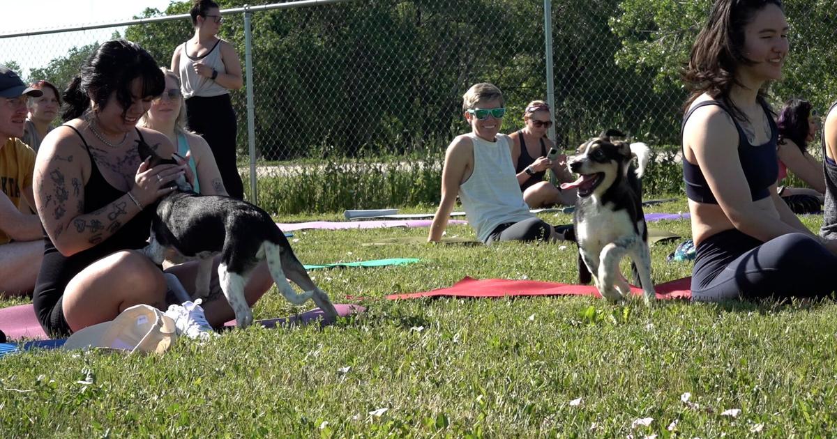 It’s a ‘Downward Dog’ kind of day at the HSBH Puppy Yoga event | Lifestyle [Video]