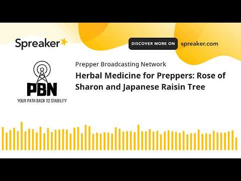 Herbal Medicine for Preppers: Rose of Sharon and Japanese Raisin Tree [Video]