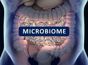 New Insights Into How Microbiome Helps Cause Type 2 Diabetes [Video]
