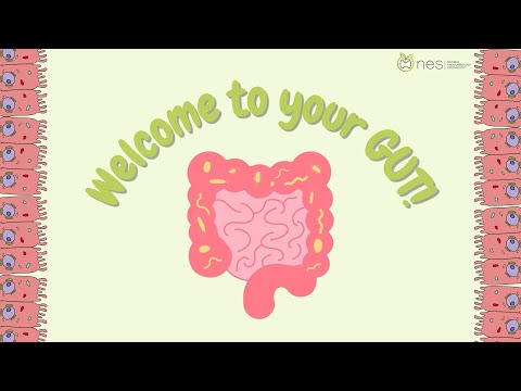 The Power of Gut Health | Natural Endocrinology Specialists™ [Video]
