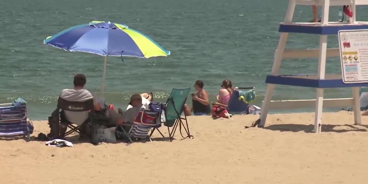 4 injured by possible shark bites [Video]