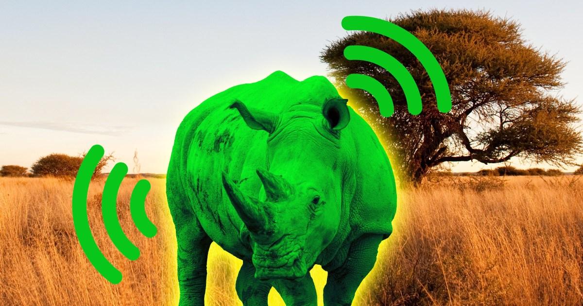 Scientists are turning rhinos radioactive to help beat poachers | Tech News [Video]
