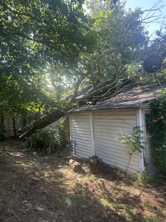 Elderly woman needs help after tree falls on home during storm [Video]