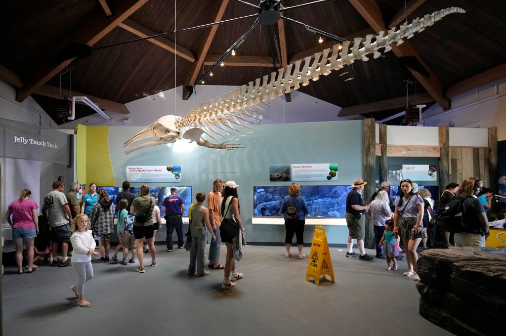 Maine State Aquarium draws a crowd when it reopens after a 4-year hiatus [Video]