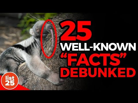 25 Well Known “Facts” Debunked [Video]