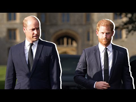 Why Prince William’s Popularity Has GONE UP Compared To Prince Harry [Video]