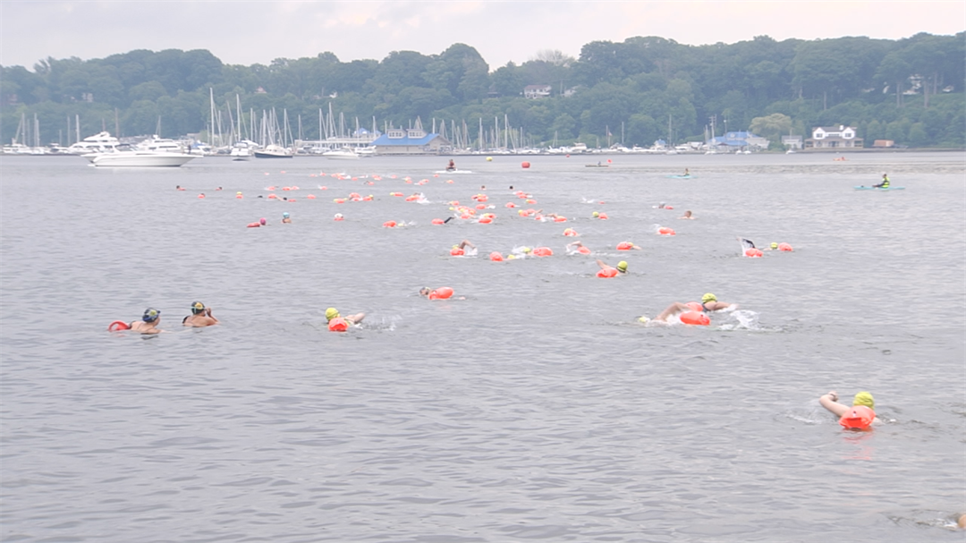 Dozens Participate in Bayfrog Open Swim – Erie News Now [Video]