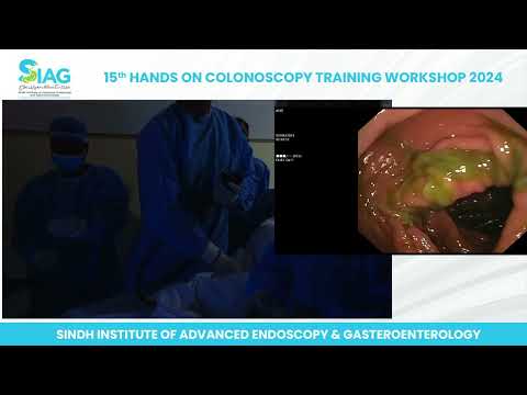 15th Hands on Colonoscopy Training Workshop Day 2 (Part 3) [Video]