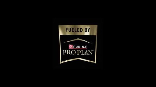 World’s Most Decorated Swimmer Michael Phelps and Team of Pros Partner with Purina Pro Plan to launch ‘Fueled By’ Docuseries [Video]