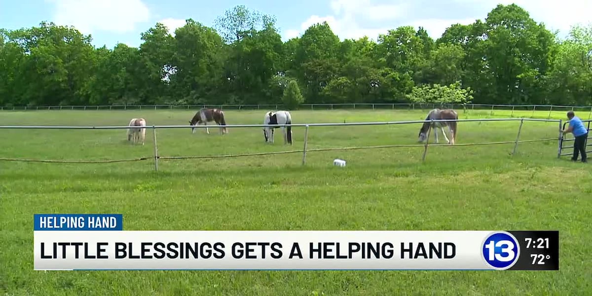 Little Blessings Veteran Outreach receives a helping hand [Video]