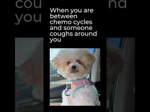 When You’re Between Cycles [Video]