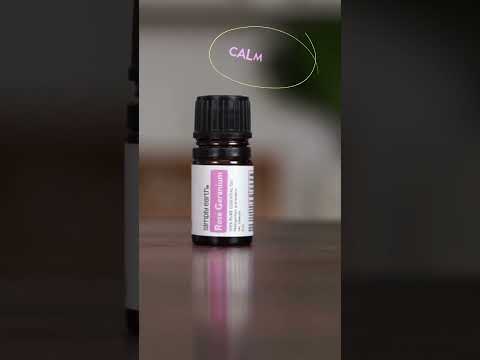 The Enchanting Benefits of Rose Geranium Essential Oil [Video]