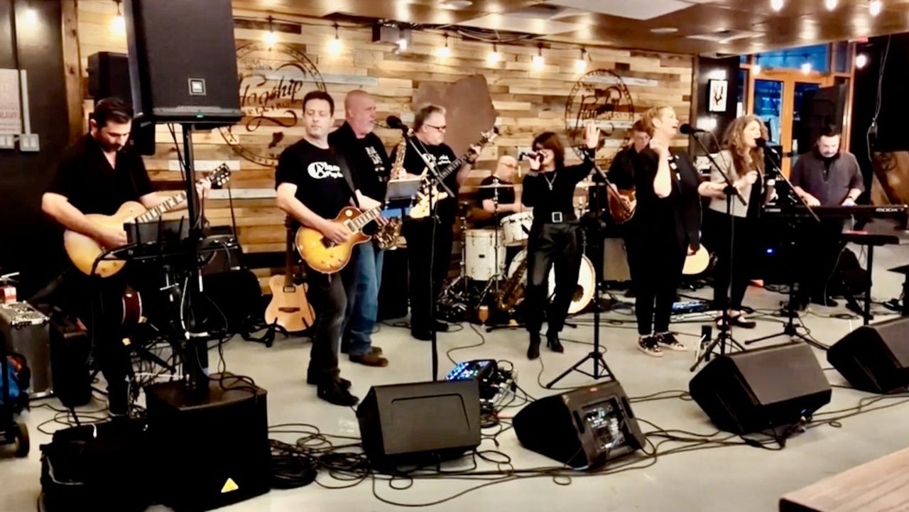 Rock out for a cause at Classic Playback at College of Staten Island; proceeds benefit SIUH cancer center [Video]