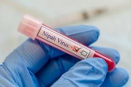 Nipah monoclonal antibody to undergo human trials in India, Bangladesh in 2025 [Video]