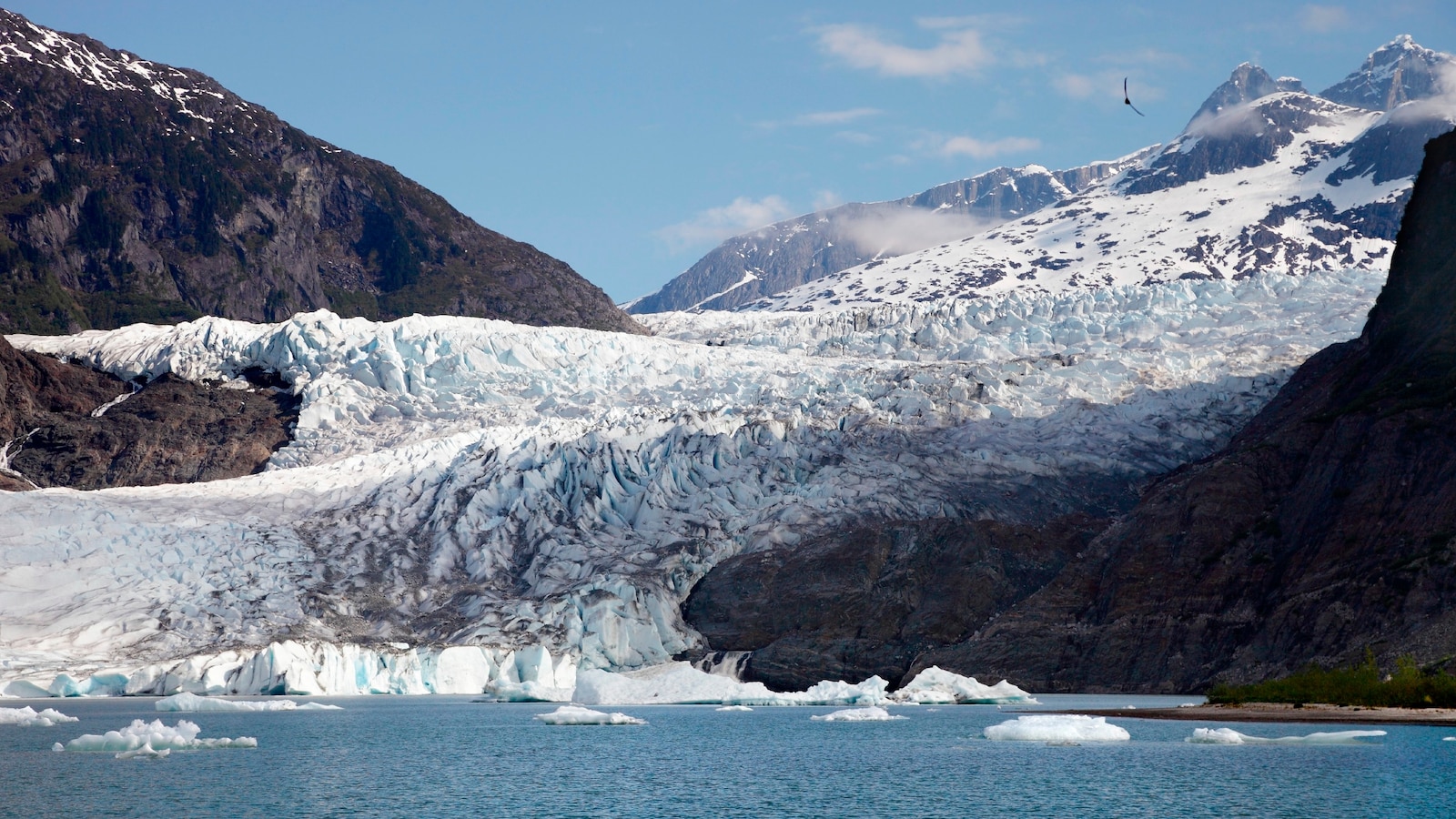 Glaciers on Alaskan ice field melting at ‘incredibly worrying’ pace, study finds [Video]