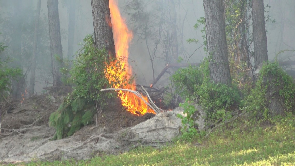 Brush fire near I-20 in Kershaw County under control [Video]