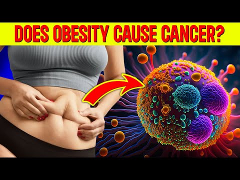 Unveiling the link between Obesity and Cancer [Video]