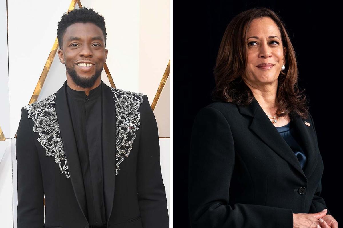 Chadwick Bosemans Last Tweet Before His Untimely Death Was In Support Of Kamala Harris, Making Fans Emotional: Wish You Were Here [Video]